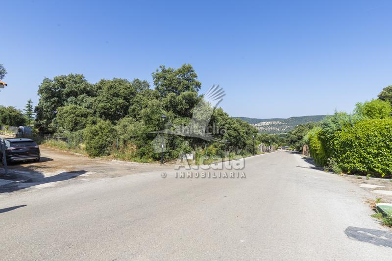 Foto be143f08-8742-4446-aaa8-3394b0476e6c. Terreny residencial a Fuentenovilla