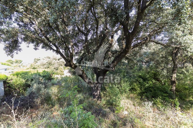 Foto c9e8cae5-a8f0-44d8-bb08-e0ded802259c. Terreny residencial a Fuentenovilla