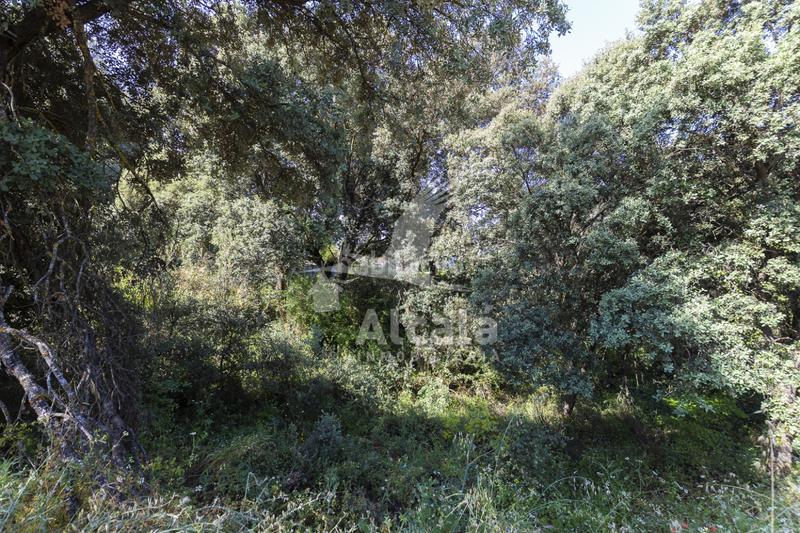 Foto cad8a03d-8ea1-4639-9218-36807590bb7d. Terreny residencial a Fuentenovilla