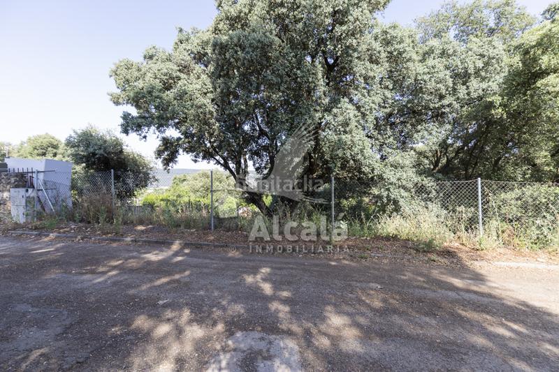 Foto d576c249-9c7c-431e-8e98-5e15293352fd. Terreny residencial a Fuentenovilla