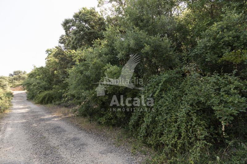 Foto d581394c-22d4-4785-b1c1-73bb3a5171e0. Terreny residencial a Fuentenovilla