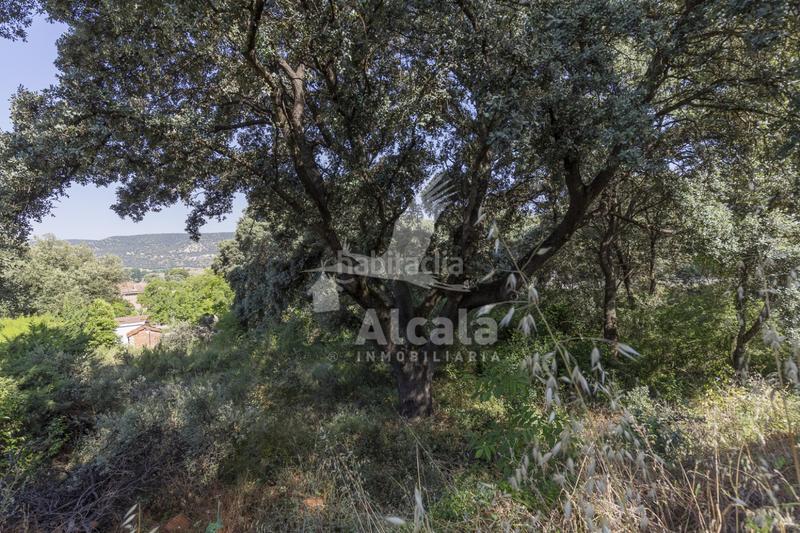 Foto e1271202-43f7-4f87-863b-0d095279c20e. Terreny residencial a Fuentenovilla