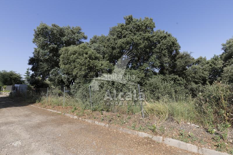 Foto e1550d7d-10d9-4f96-876d-e3c7b82134c6. Terreny residencial a Fuentenovilla