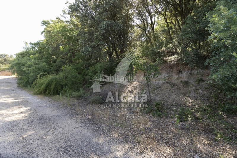 Foto e3dff7cf-c59c-4a62-892f-fa57192267dd. Terreny residencial a Fuentenovilla