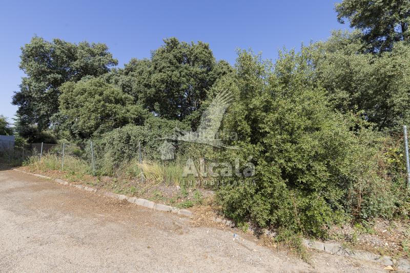 Foto eebbc3ca-7d24-4ad2-9012-03c74c60d1e5. Terreny residencial a Fuentenovilla