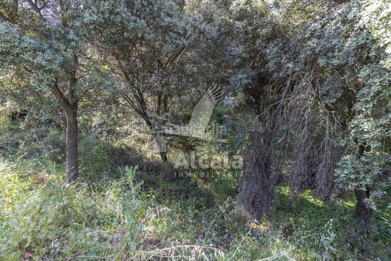 Foto fe23068e-f05c-49b9-b244-a8ad6f1ed376. Terreny residencial a Fuentenovilla