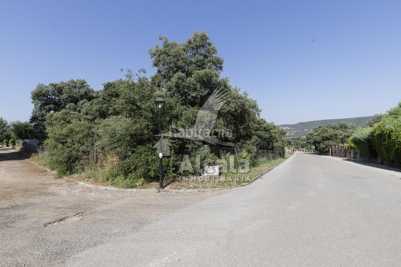 Foto ff358e0a-f9b3-4d03-b2de-d30aa26f364f. Terreny residencial a Fuentenovilla