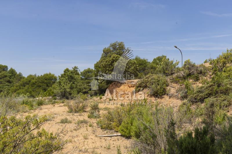 Foto 1019954e-d775-49d8-8bc4-96eef3257cdb. Terreno residenziale in Casco Antiguo Logroño