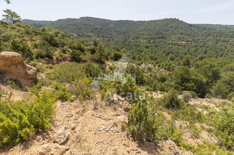 Foto 79297248-cae5-4ffd-9027-1e4d31b40910. Terreno residenziale in Casco Antiguo Logroño