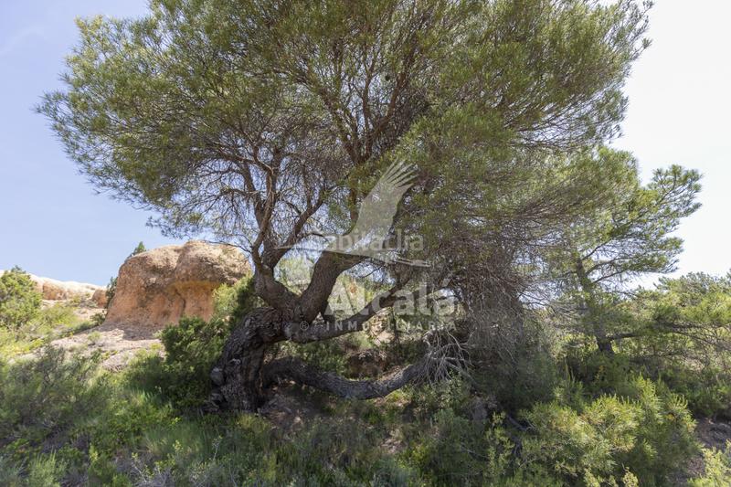 Foto 91c4372b-53e7-45e1-be1c-913bef2930c2. Terreno residenziale in Casco Antiguo Logroño