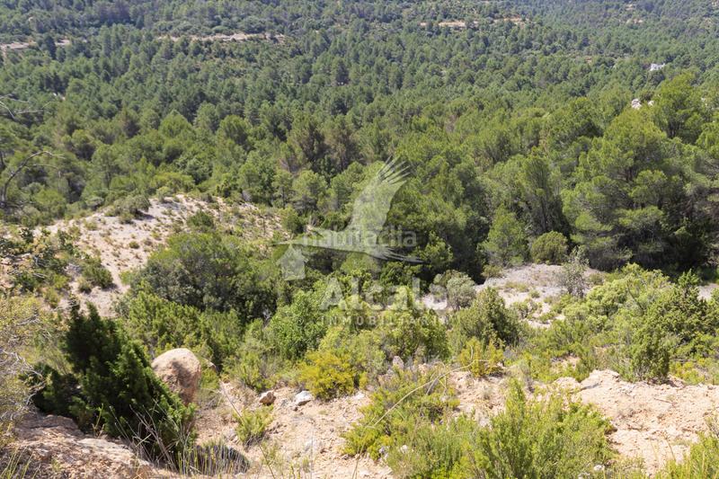 Foto ce65e860-691e-4ca6-8d9e-e058b9014d27. Terreno residenziale in Casco Antiguo Logroño