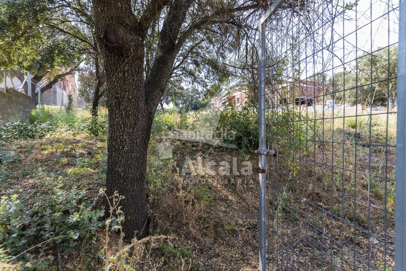 Foto 17cbc97e-f0ce-4dce-a658-72d0a74da25c. Terrain résidentiel dans Valdeaveruelo