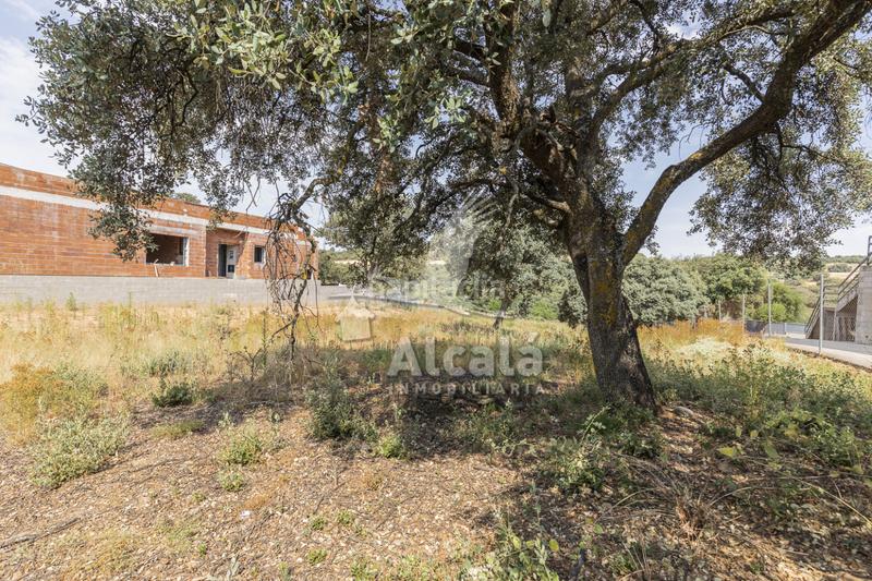 Foto 23cb293b-5206-44f0-bf44-1ffd6dd11073. Terrain résidentiel dans Valdeaveruelo
