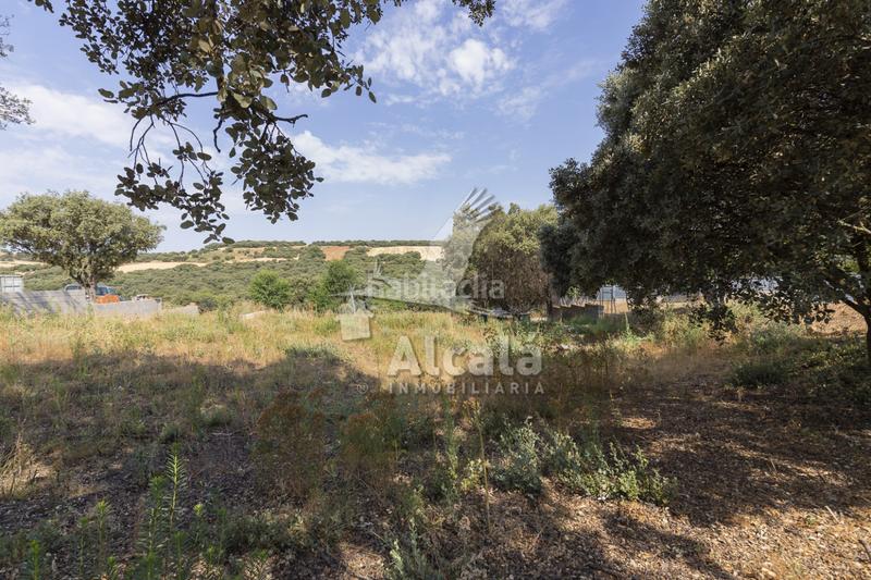 Foto 392a7886-35ae-4886-849b-da8f86a59581. Terrain résidentiel dans Valdeaveruelo