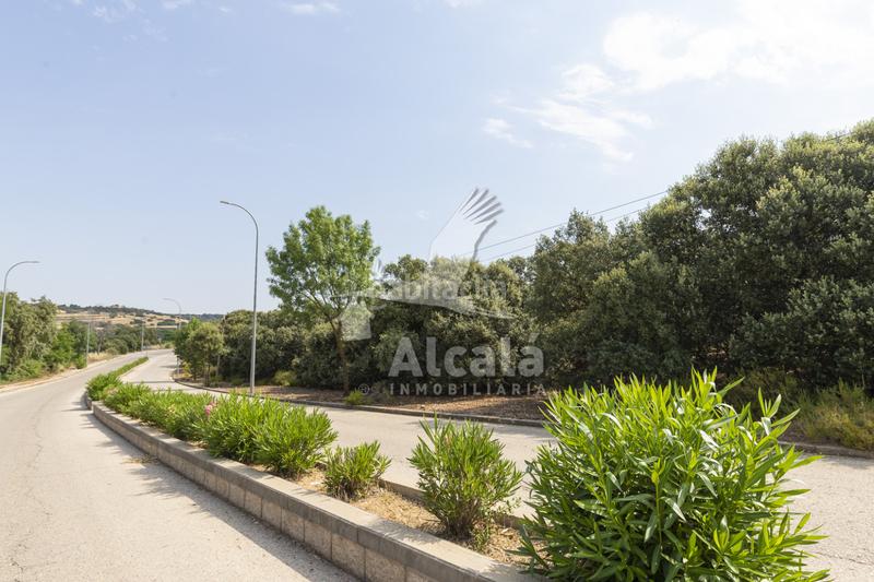 Foto 69604511-f3fd-4296-a949-5250fd2db0d8. Terrain résidentiel dans Valdeaveruelo