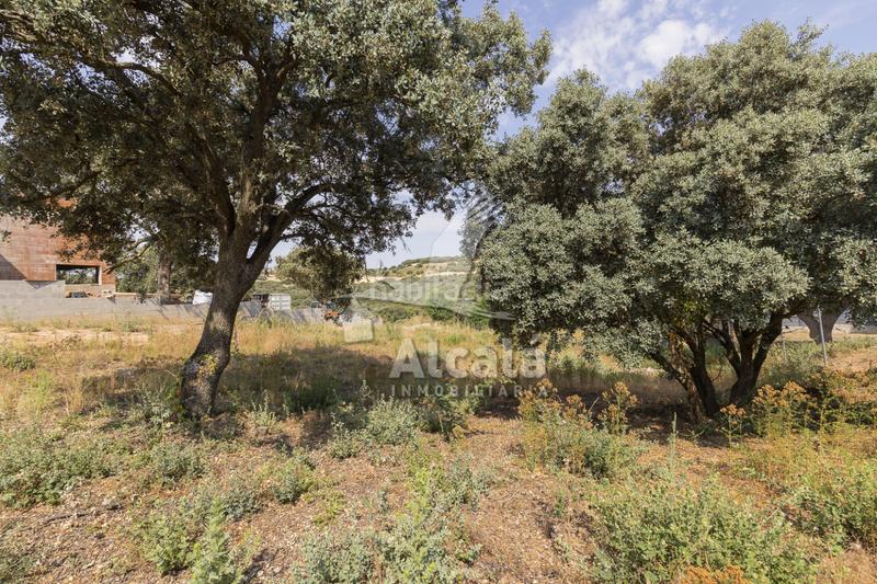 Foto 93ec5066-bc88-4b3b-8d4e-995f6b36471d. Terrain résidentiel dans Valdeaveruelo