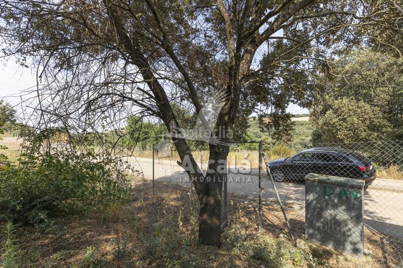 Foto a91f0bb8-c256-4f8f-afa5-207345669360. Terrain résidentiel dans Valdeaveruelo