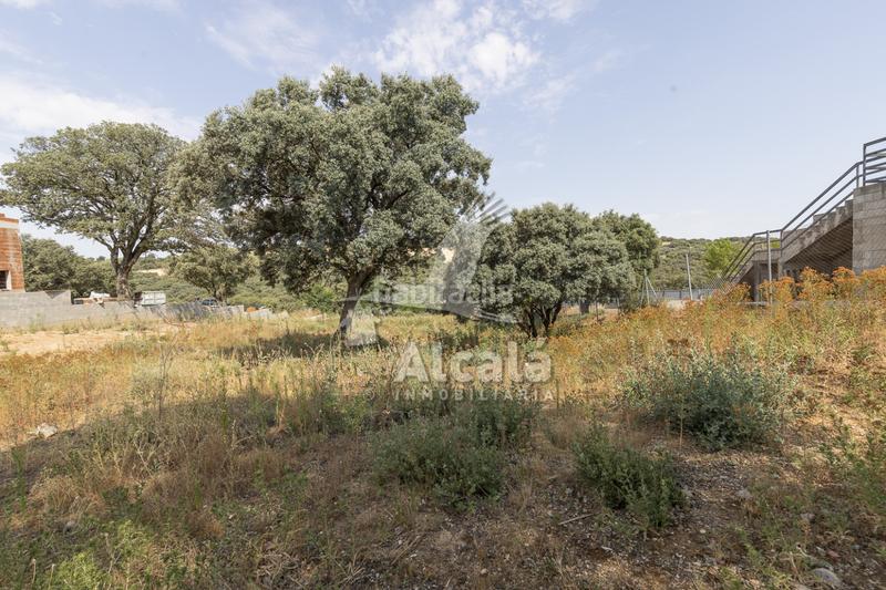 Foto acecefca-ede2-4980-b0a7-e7b8add7e8bf. Terrain résidentiel dans Valdeaveruelo