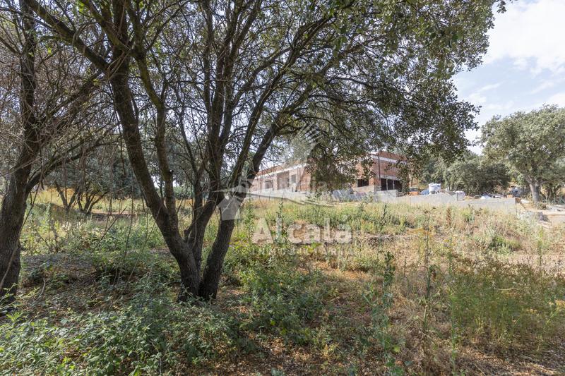 Foto b193cb1e-36b7-406f-96a3-2aa4987d26e5. Terrain résidentiel dans Valdeaveruelo