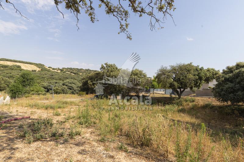 Foto c1b05696-9796-4760-9f07-bca751e9d8ff. Terrain résidentiel dans Valdeaveruelo