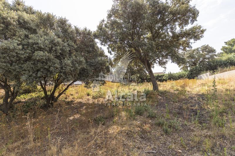 Foto c91101e6-c1a6-40e5-aacd-31f93e5d5f53. Terrain résidentiel dans Valdeaveruelo