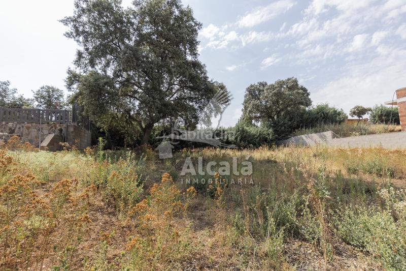 Foto ead9d067-f261-4ce0-84e3-abb0ff18fc0e. Terrain résidentiel dans Valdeaveruelo