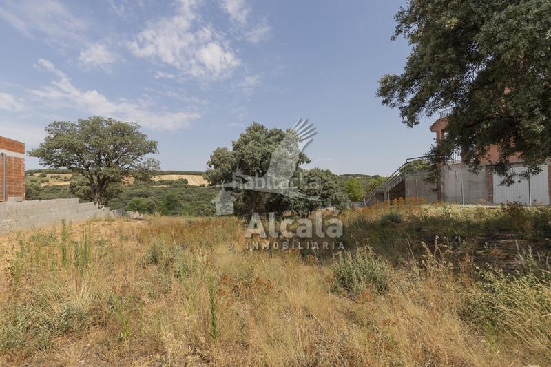 Foto ed654a06-31f4-4925-8993-242fe854f831. Terrain résidentiel dans Valdeaveruelo