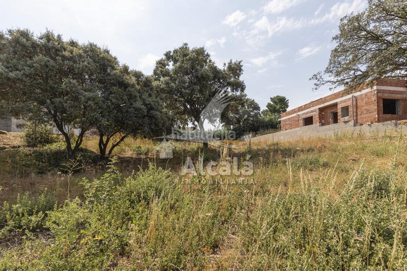 Foto eeb676ea-ef0d-4b15-ab8c-2b607fd1aef4. Terrain résidentiel dans Valdeaveruelo