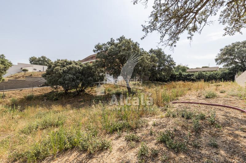 Foto f2cd0ea1-f3bf-4d86-a6e6-b2593730357c. Terrain résidentiel dans Valdeaveruelo