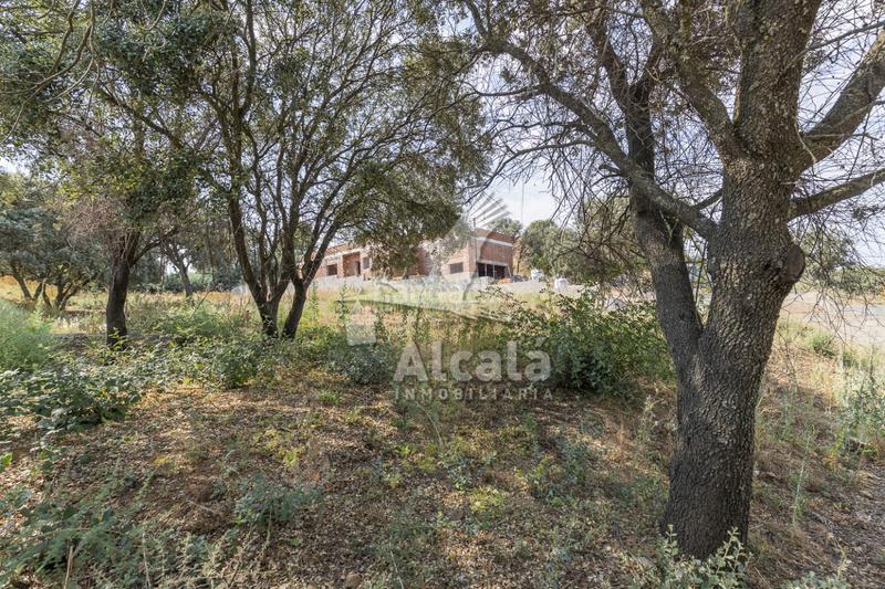 Foto fadc0f18-0a82-473d-91de-0847cefacfb3. Terrain résidentiel dans Valdeaveruelo