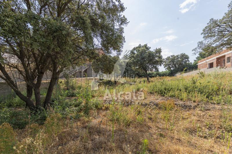 Foto fb08bcc9-353a-4750-bde6-51025088102c. Terrain résidentiel dans Valdeaveruelo