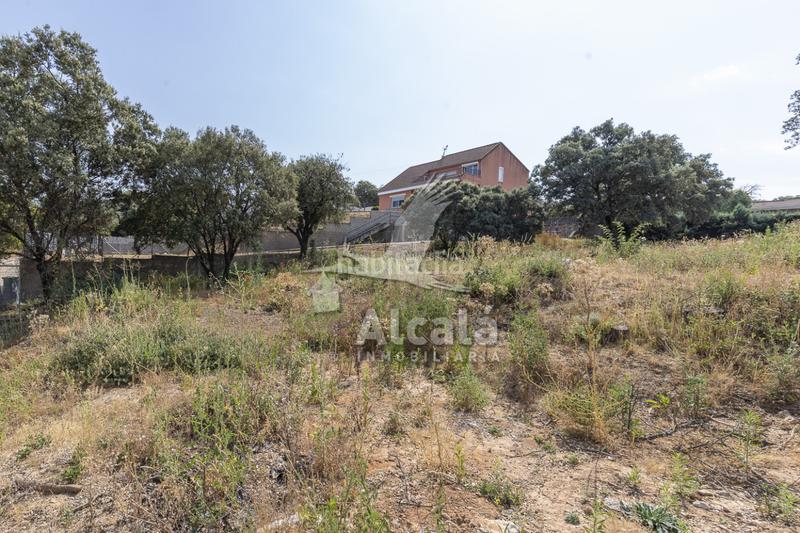 Foto ff39d677-8c51-4068-bf91-ac5c671d06d4. Terrain résidentiel dans Valdeaveruelo