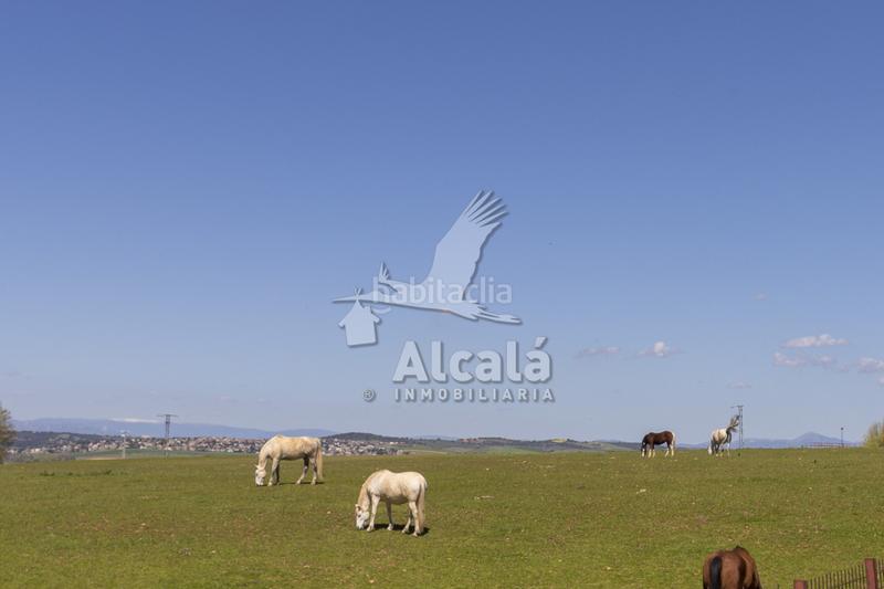 Foto 100bd5dc-b56f-490d-8168-8e794364445a. Wohngrundstück in Torrejón del Rey