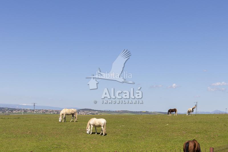 Foto 19a7d1a3-0b38-44bb-8aeb-bbe3e60e9d86. Wohngrundstück in Torrejón del Rey