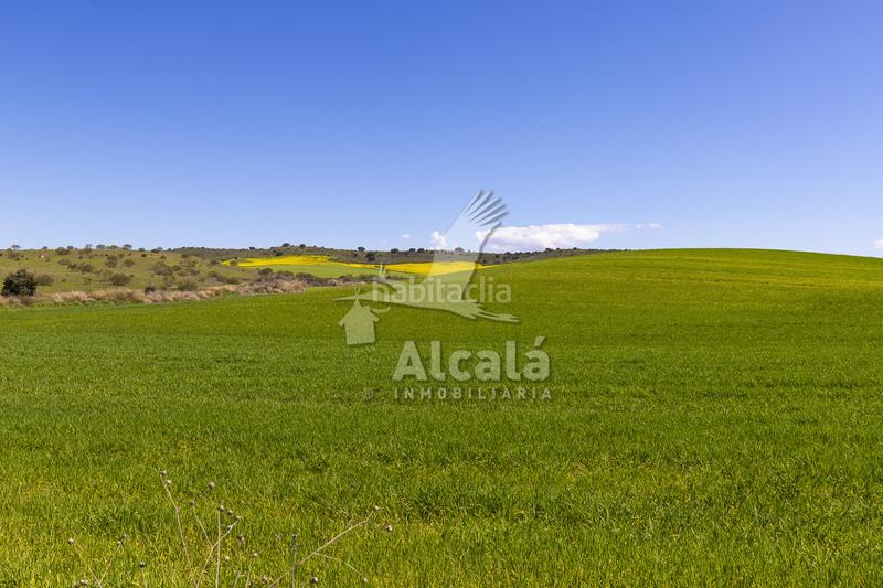 Foto 1c1448b0-7f80-48ba-bf8a-d21ad0efa8de. Wohngrundstück in Torrejón del Rey