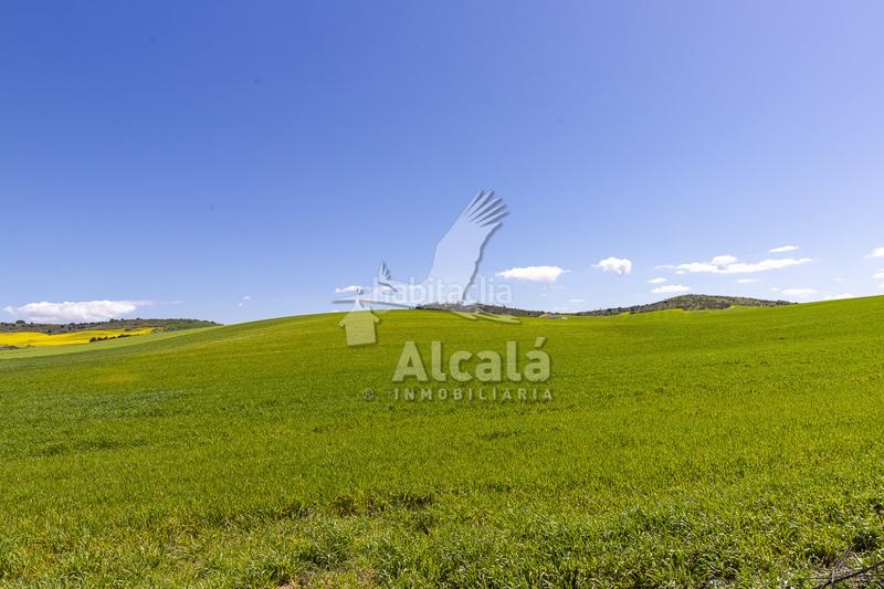 Foto e738b080-253e-49ef-95e7-e6d591b0cbe5. Wohngrundstück in Torrejón del Rey