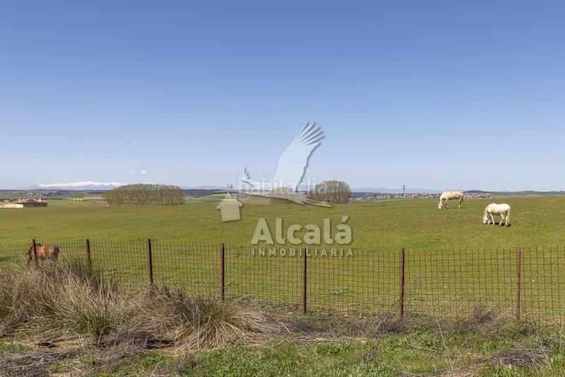 Foto fc30af13-2e22-4b5e-9ae6-cee5a989e107. Wohngrundstück in Torrejón del Rey