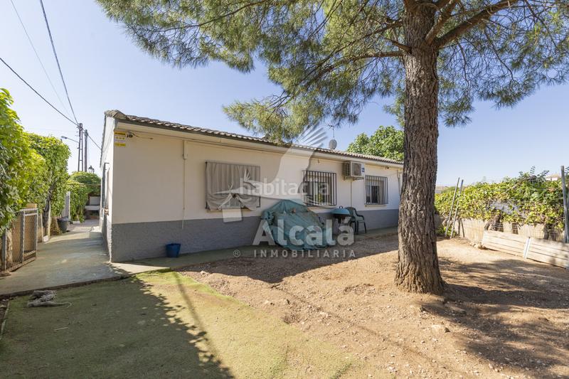 Foto 1900753c-4a8d-468c-b186-6c5b4e8ad2c8. Casa chalet independiente de una planta pueblo en Pioz