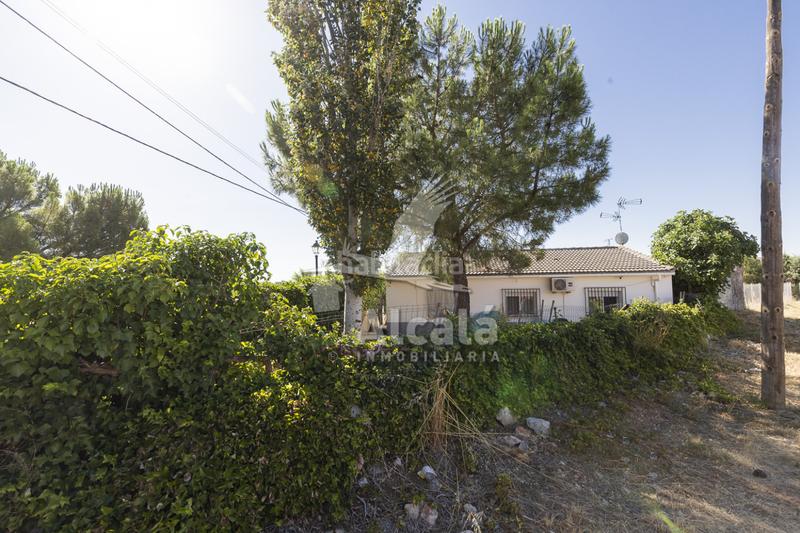 Foto c5d0269a-8b6b-47bb-aff0-fb31cac99ec4. Casa chalet independiente de una planta pueblo en Pioz