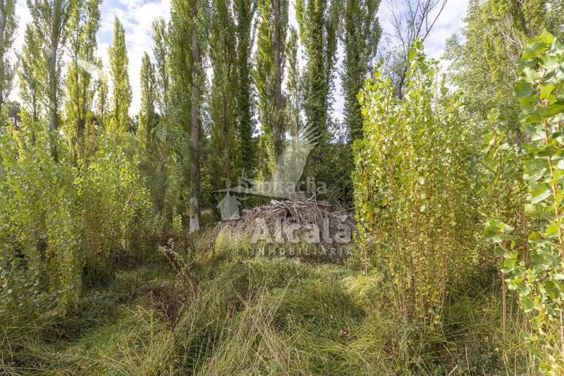 Foto 2296c75c-e0b1-4945-9720-545016d63f62. Terrain résidentiel dans Hueva