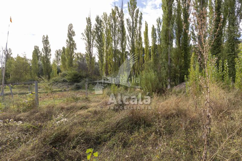 Foto 68d20d29-930f-4919-a465-dc71a8d25af1. Terrain résidentiel dans Hueva