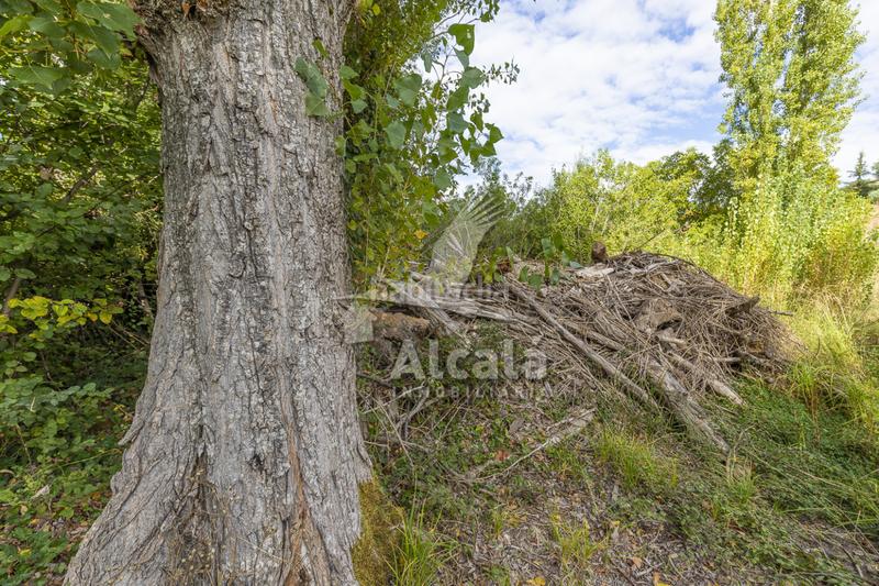 Foto c2fb6329-495c-41e9-98c0-27dd22260237. Terrain résidentiel dans Hueva