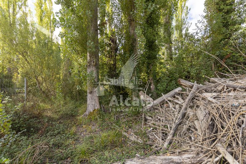 Foto dcc1369d-9096-4432-8094-8d29460784c4. Terrain résidentiel dans Hueva