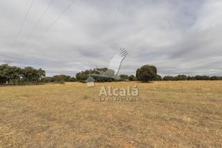 Terreno residencial en Hueva. Finca rústica en venta en hueva guadalajara  presentada por alca