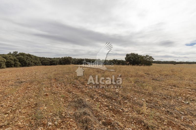 Foto 02b569a3-e0db-4c55-9aeb-f0e24e2fc42a. Terreno residenziale in Hueva