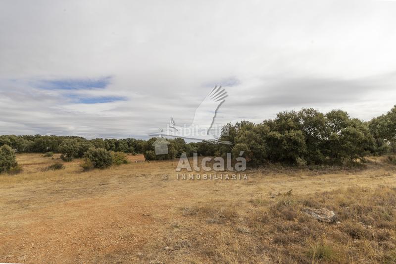 Foto 0aacb9f7-6937-4080-a528-d7e5229d9c1f. Terreno residenziale in Hueva