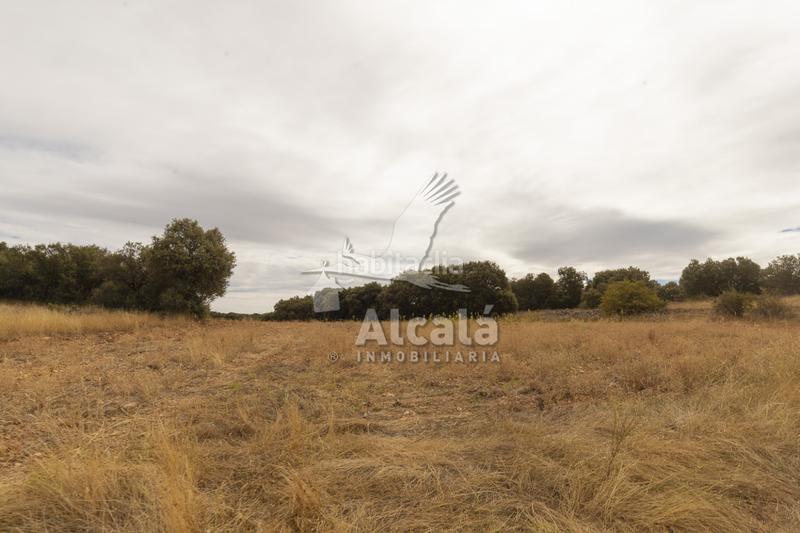 Foto 0e60674b-ffb8-421a-b7ab-b66813153a9d. Terreno residenziale in Hueva