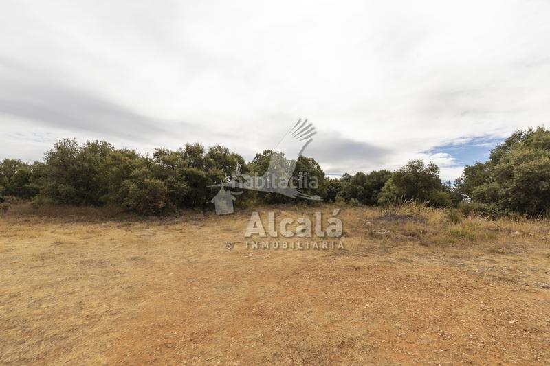 Foto 1798e81d-cbed-487b-a6c3-5377bfe6e209. Terreno residenziale in Hueva