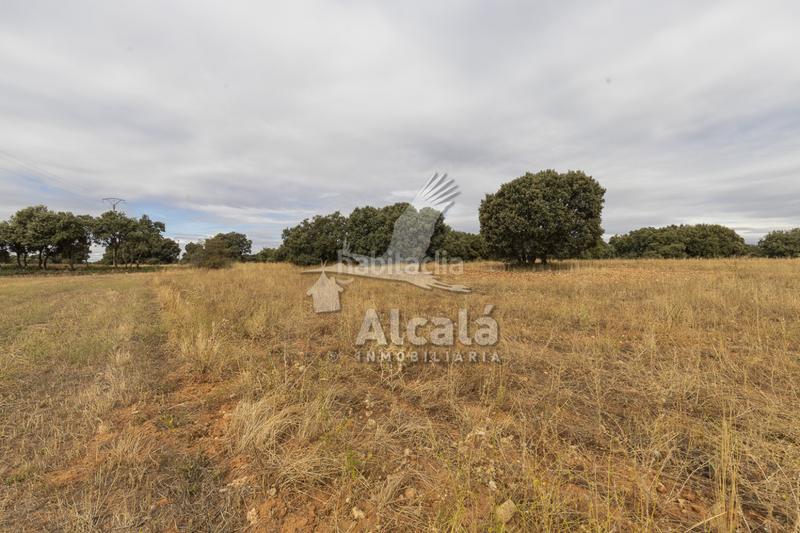 Foto 1c91729d-00f5-404d-b07e-80f4193961eb. Terreno residenziale in Hueva