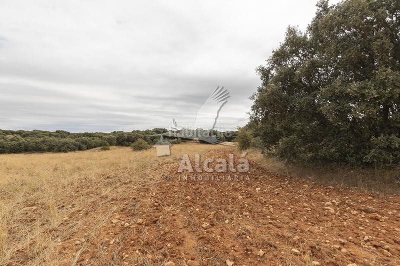 Foto 3322b357-32bf-44d7-80d6-bcd34c75f2f9. Terreno residenziale in Hueva